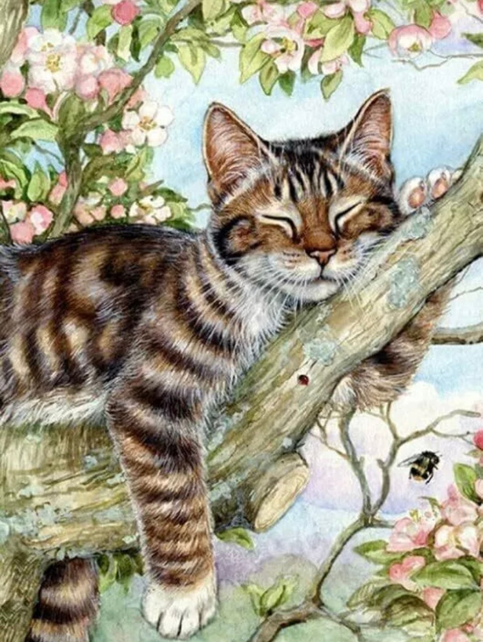 5D Sleeping Cat Diamond Painting Full Drill DIY Kits