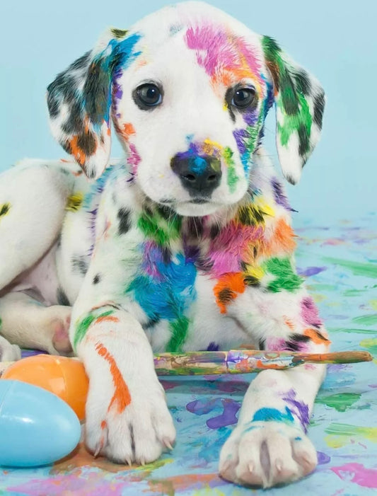 5D Diamond Painting Art Kit Colour Puppy