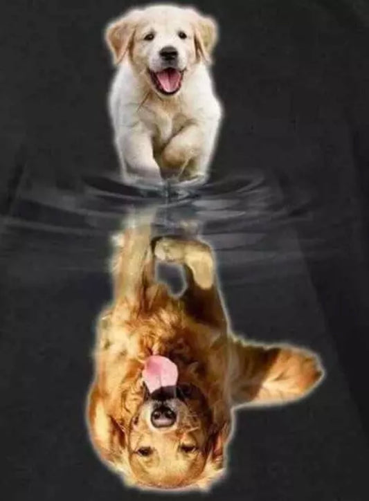 5D DIY Golden Retriever Puppy Reflection Diamond Art Kit